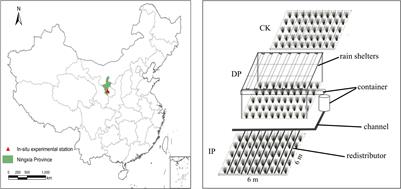 Variations in Plant Water Use Efficiency Response to Manipulated Precipitation in a Temperate Grassland